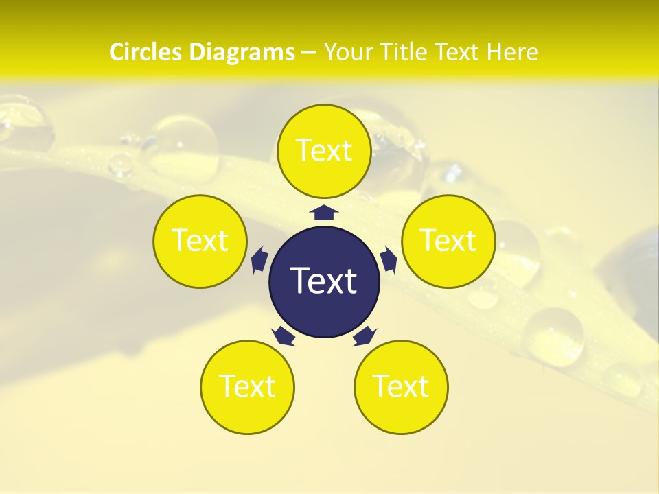 Macro Sunflower Rain PowerPoint Template