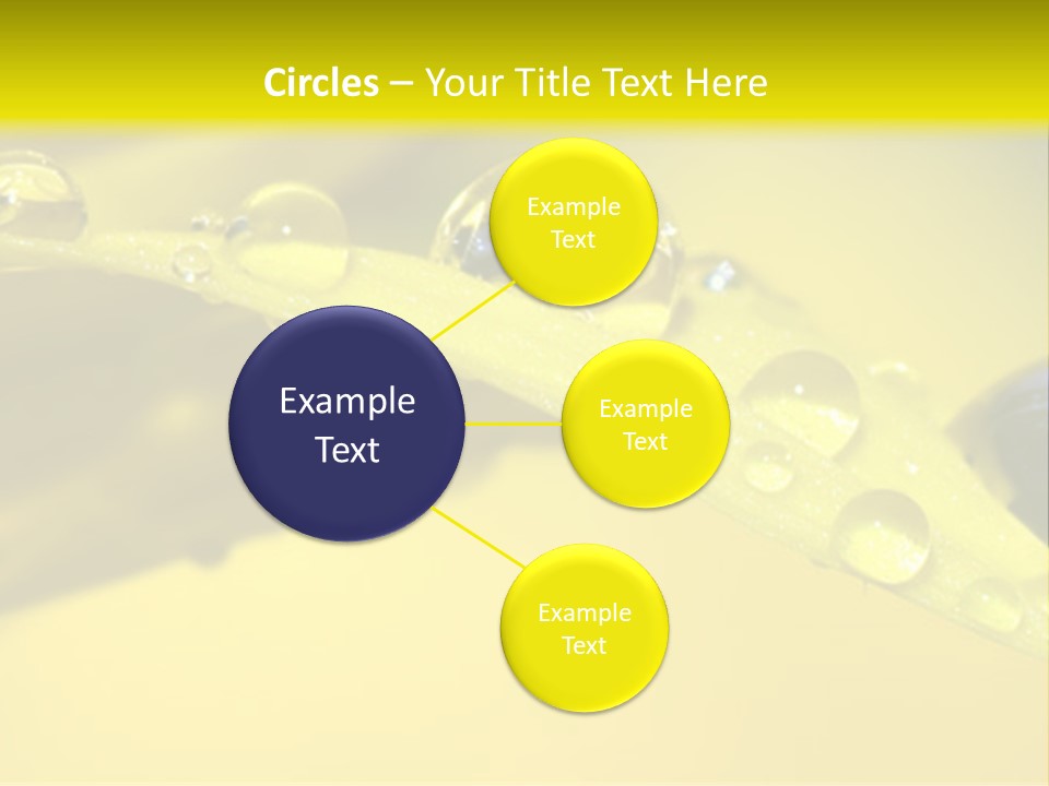 Macro Sunflower Rain PowerPoint Template
