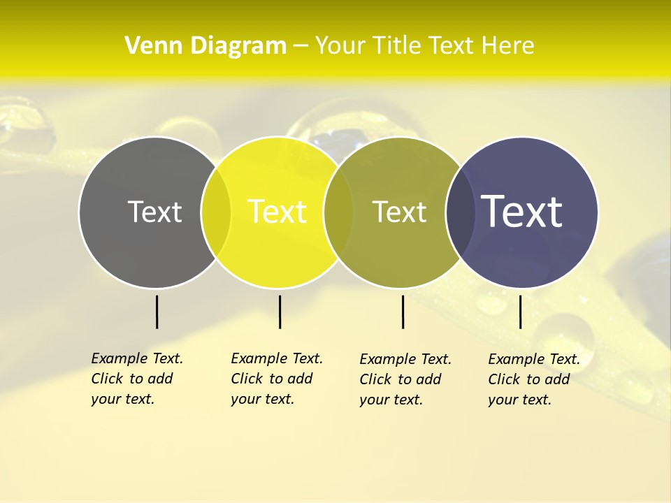 Macro Sunflower Rain PowerPoint Template
