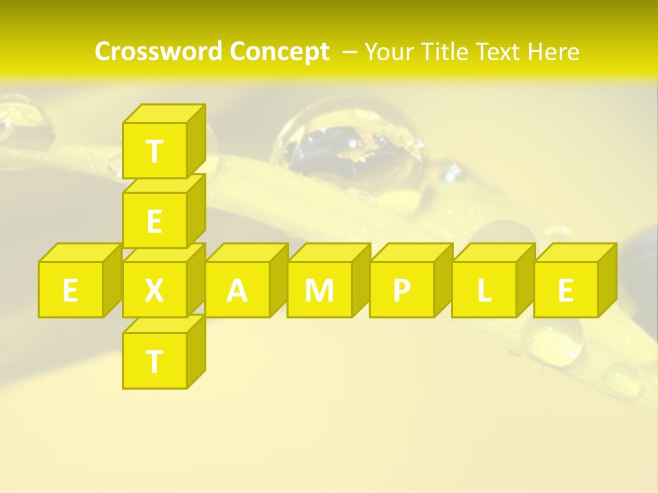 Macro Sunflower Rain PowerPoint Template