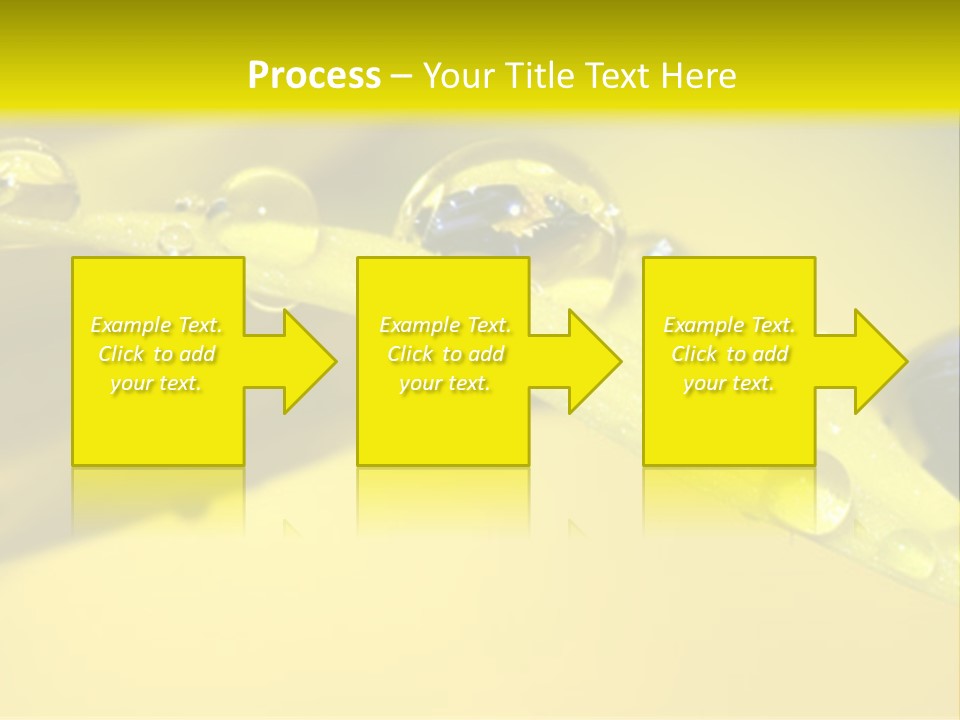 Macro Sunflower Rain PowerPoint Template