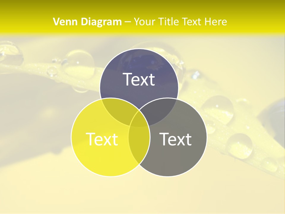 Macro Sunflower Rain PowerPoint Template