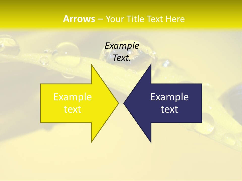 Macro Sunflower Rain PowerPoint Template