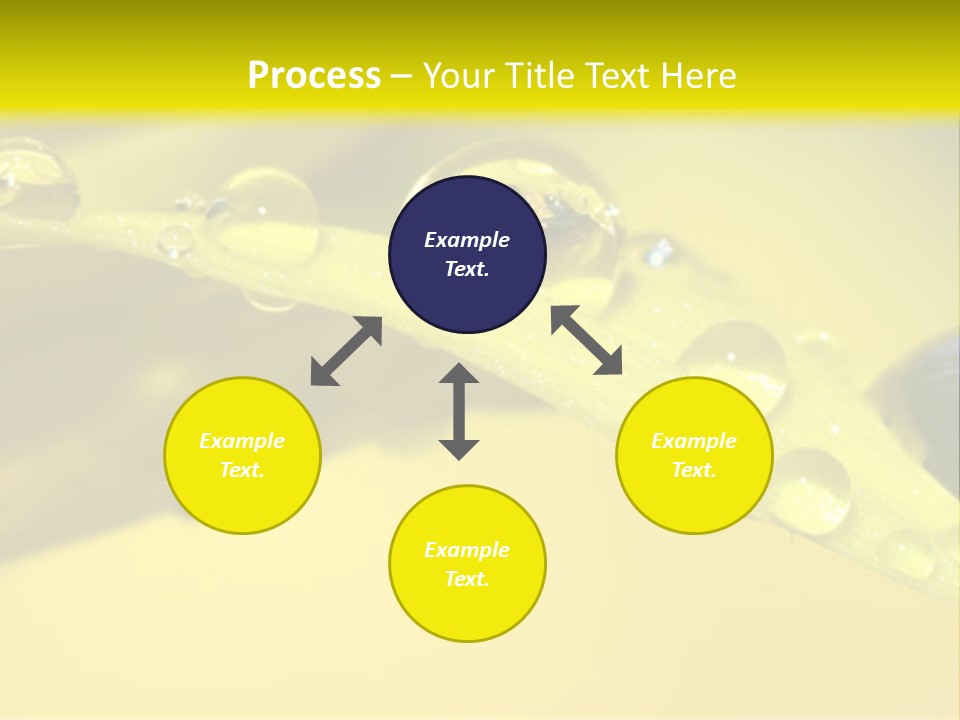 Macro Sunflower Rain PowerPoint Template