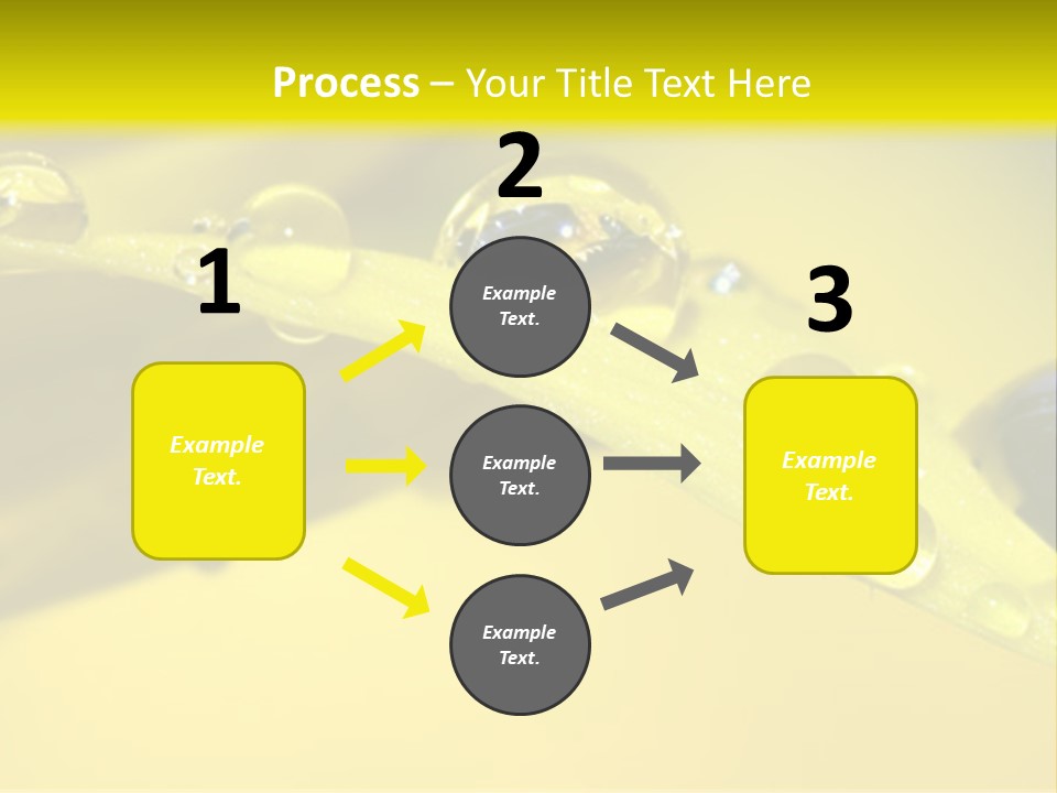 Macro Sunflower Rain PowerPoint Template