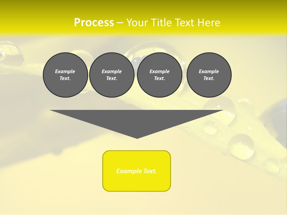 Macro Sunflower Rain PowerPoint Template