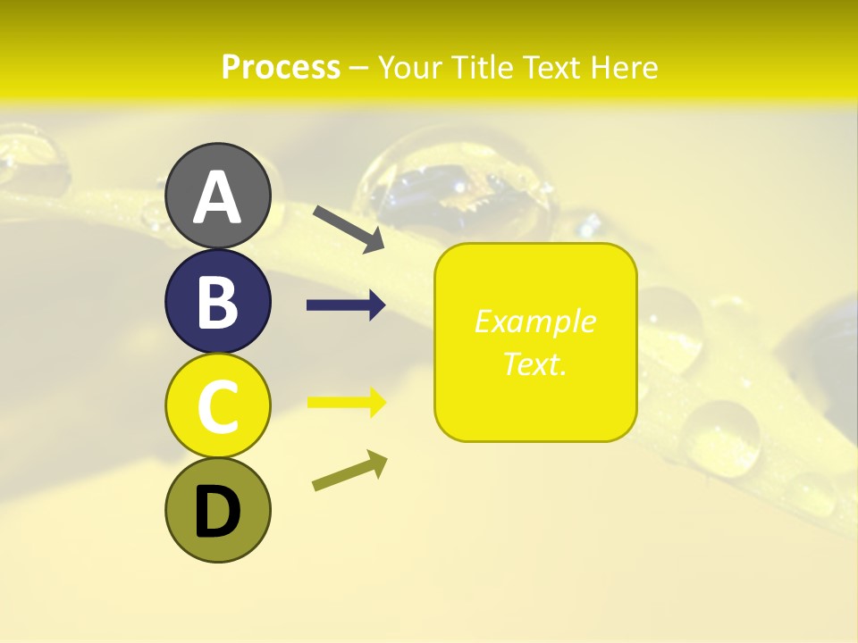Macro Sunflower Rain PowerPoint Template
