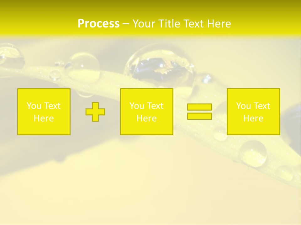 Macro Sunflower Rain PowerPoint Template