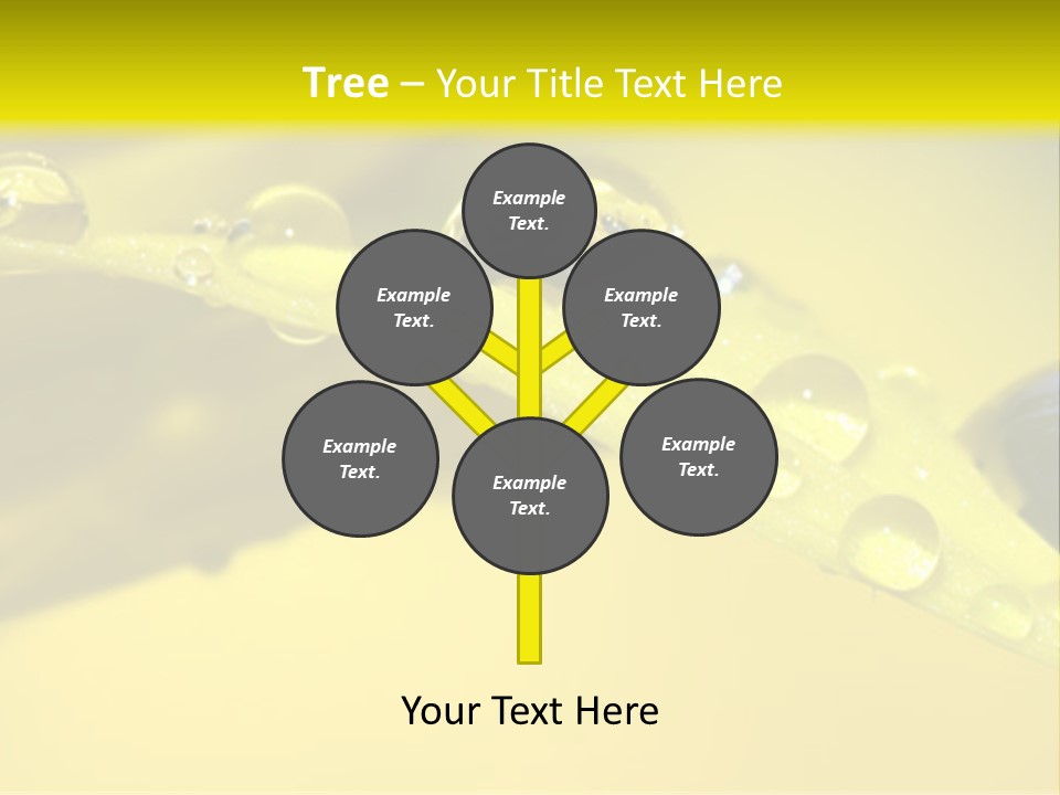 Macro Sunflower Rain PowerPoint Template