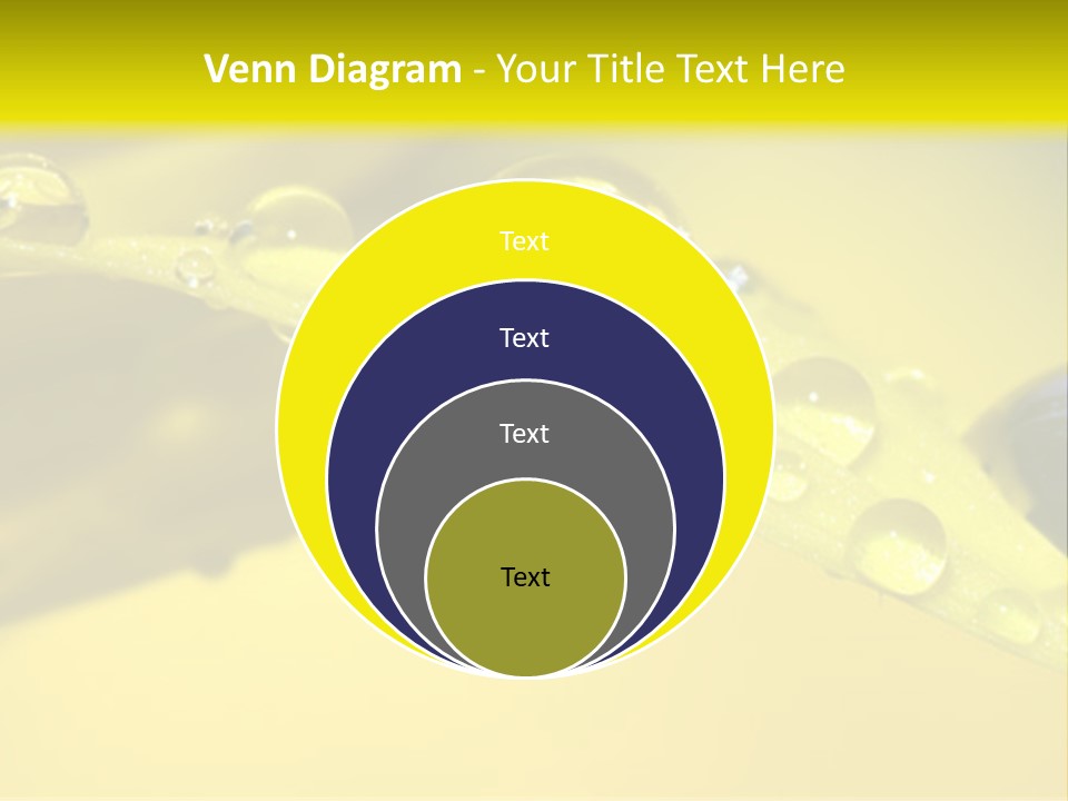 Macro Sunflower Rain PowerPoint Template