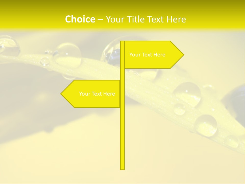 Macro Sunflower Rain PowerPoint Template
