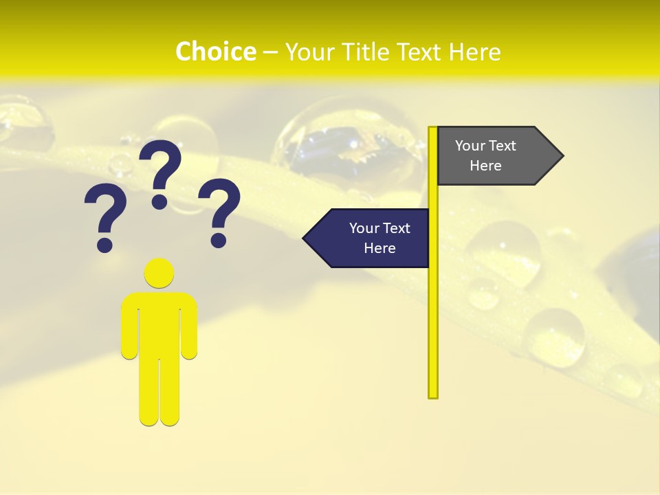 Macro Sunflower Rain PowerPoint Template