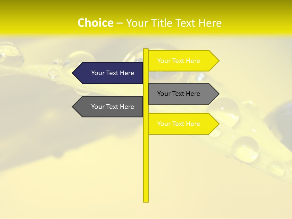 Macro Sunflower Rain PowerPoint Template