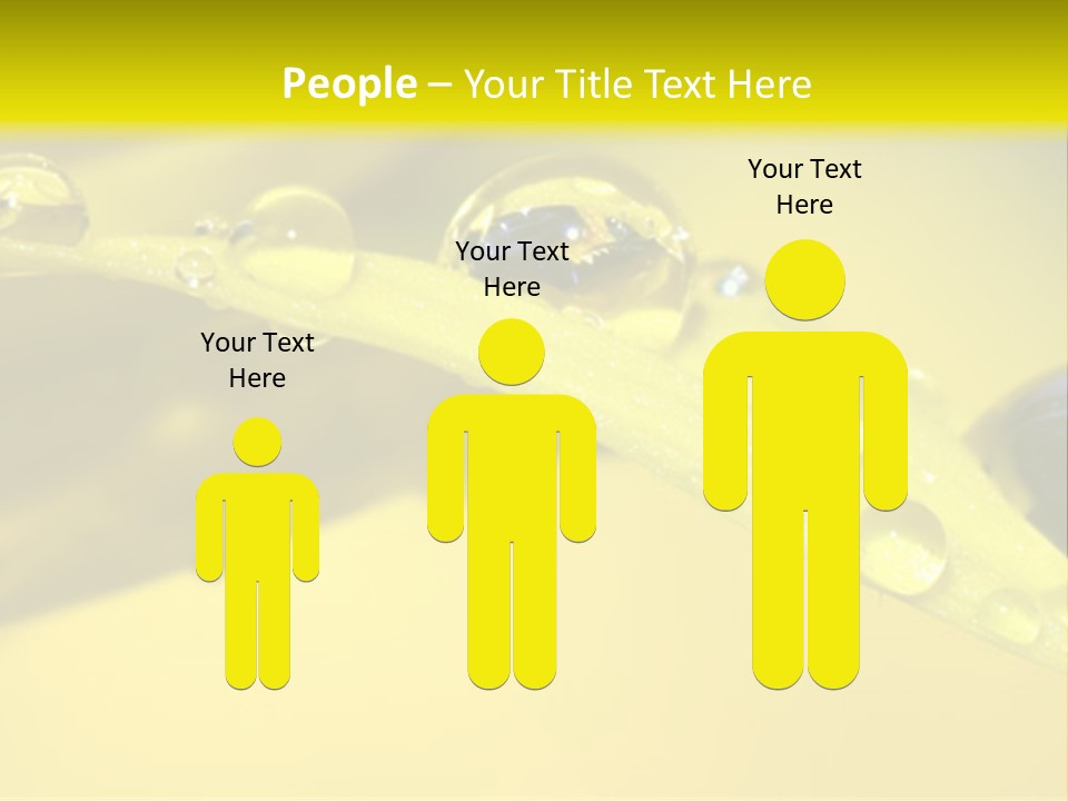 Macro Sunflower Rain PowerPoint Template