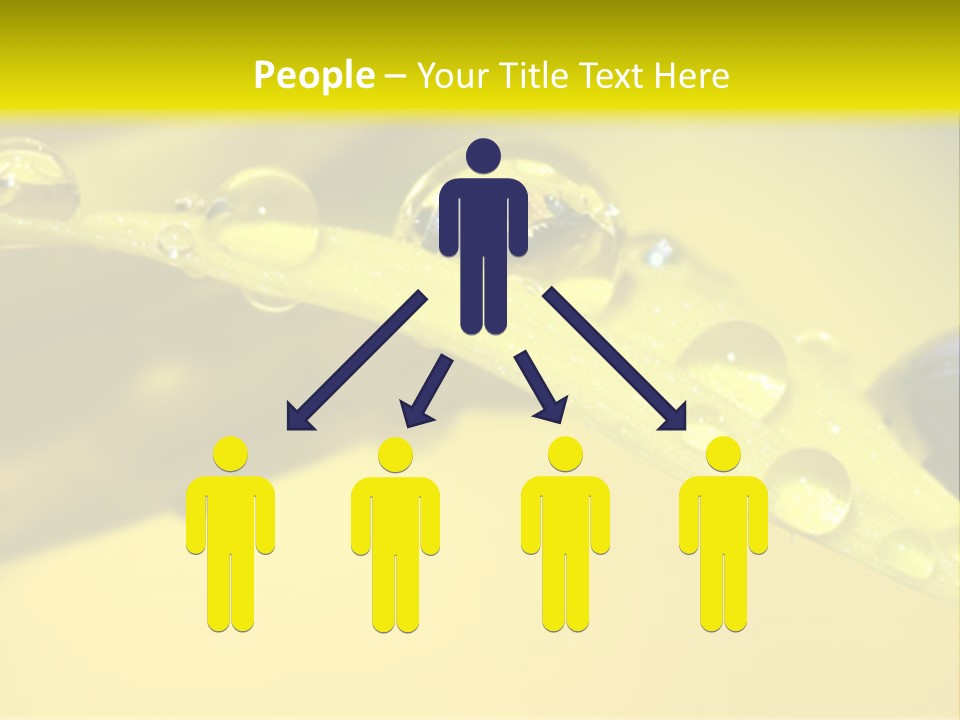 Macro Sunflower Rain PowerPoint Template