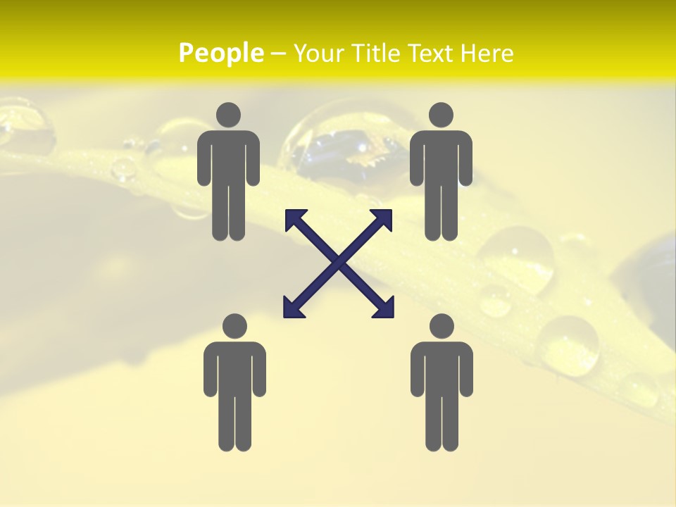 Macro Sunflower Rain PowerPoint Template