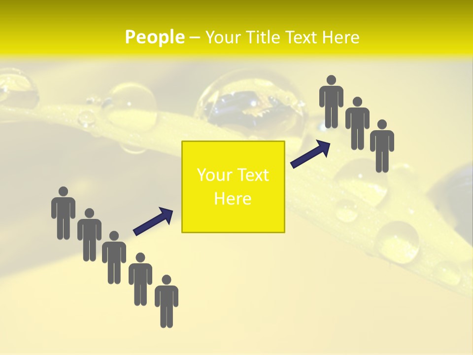 Macro Sunflower Rain PowerPoint Template