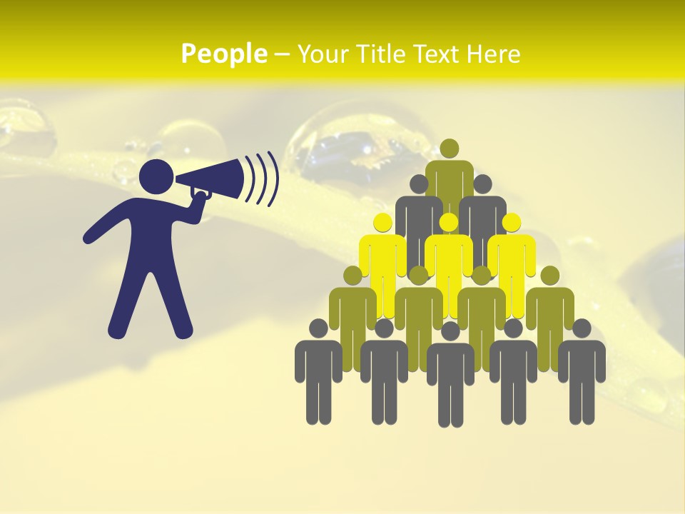 Macro Sunflower Rain PowerPoint Template