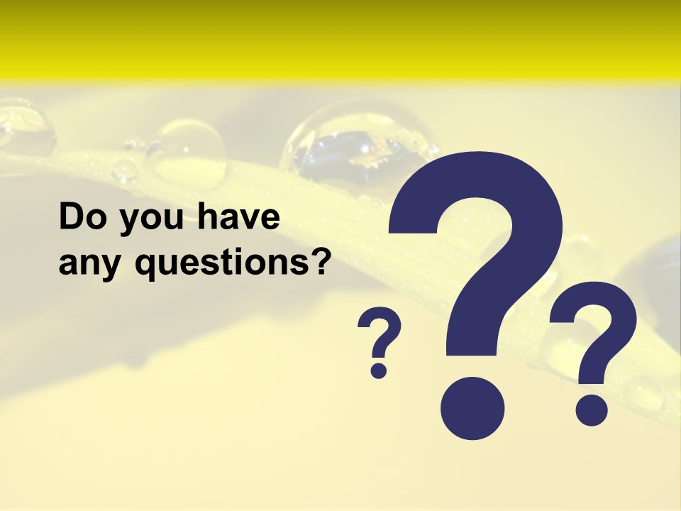 Macro Sunflower Rain PowerPoint Template