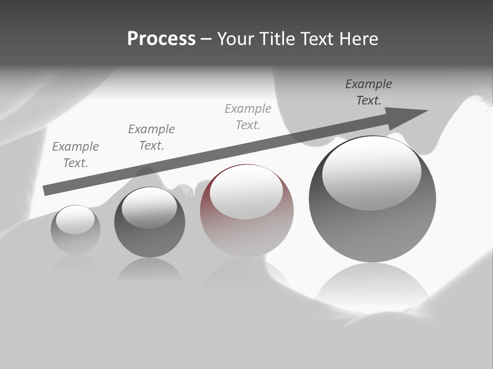 Bud Summer Vine PowerPoint Template