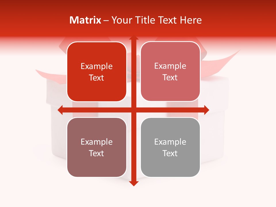 Wrapping Carnation Isolated PowerPoint Template