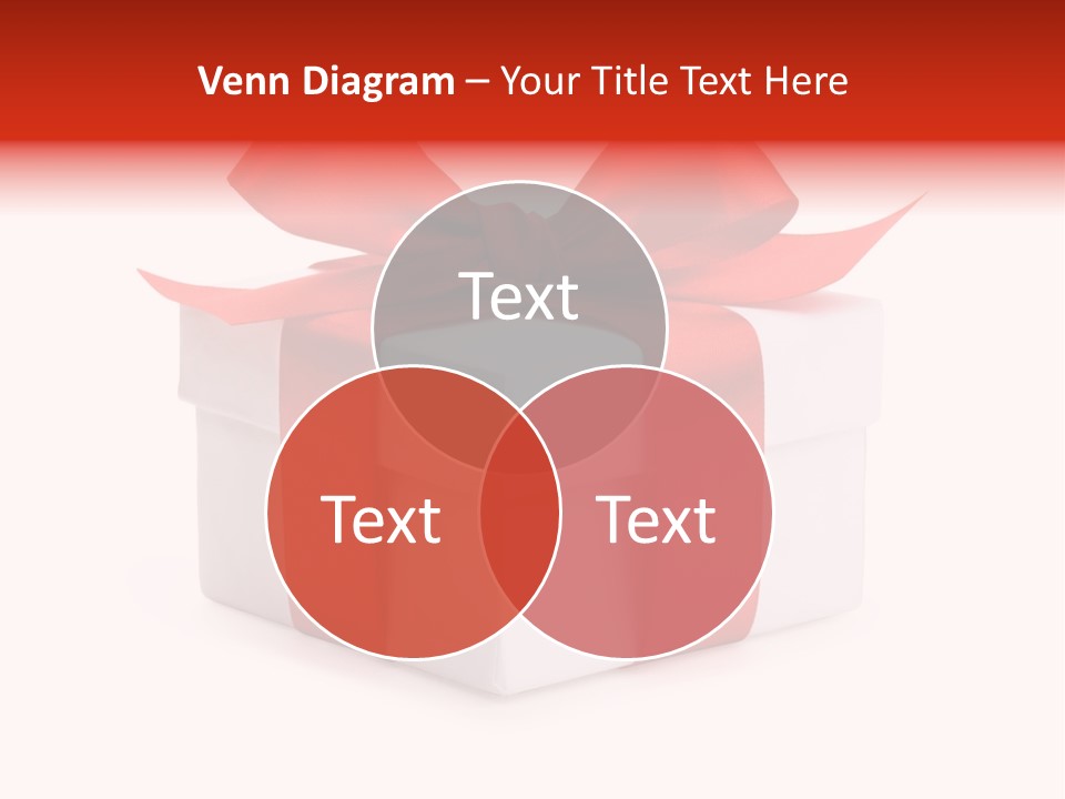 Wrapping Carnation Isolated PowerPoint Template