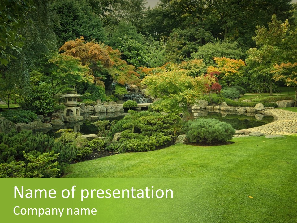 Park Bridge Bush PowerPoint Template