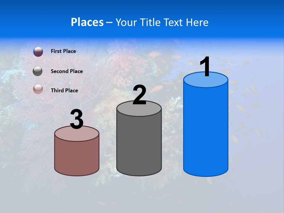 Barrier Clownfish Shallow PowerPoint Template