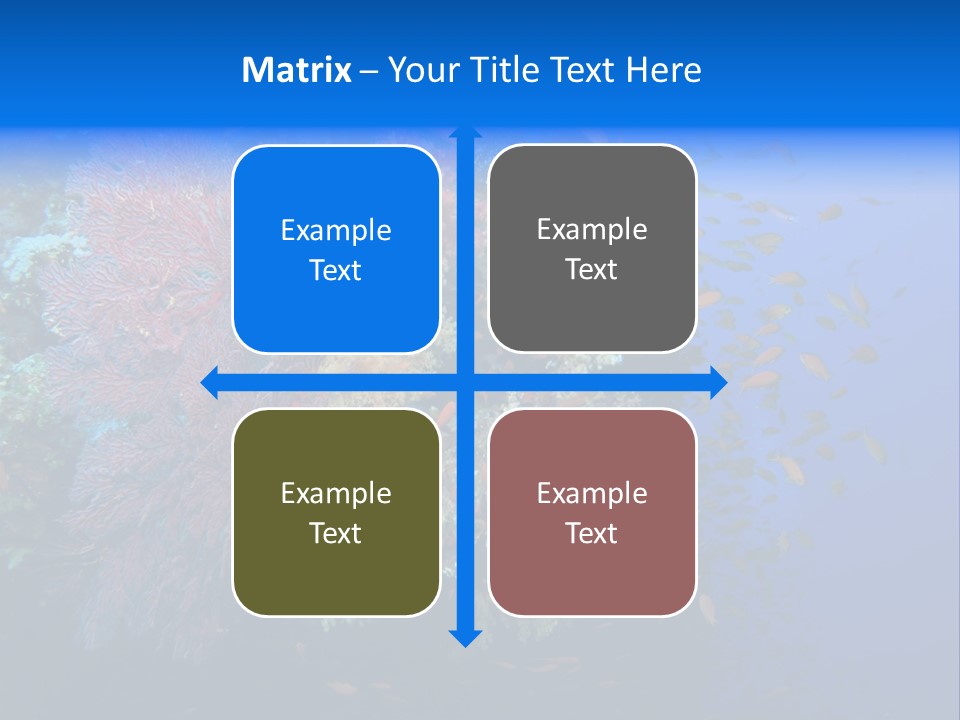 Barrier Clownfish Shallow PowerPoint Template