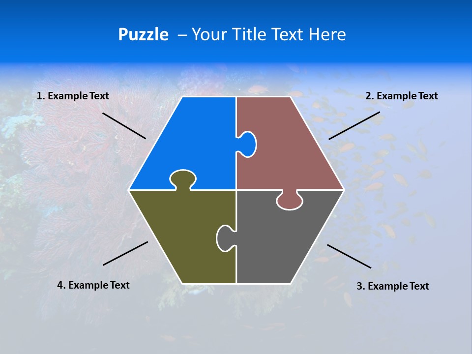 Barrier Clownfish Shallow PowerPoint Template