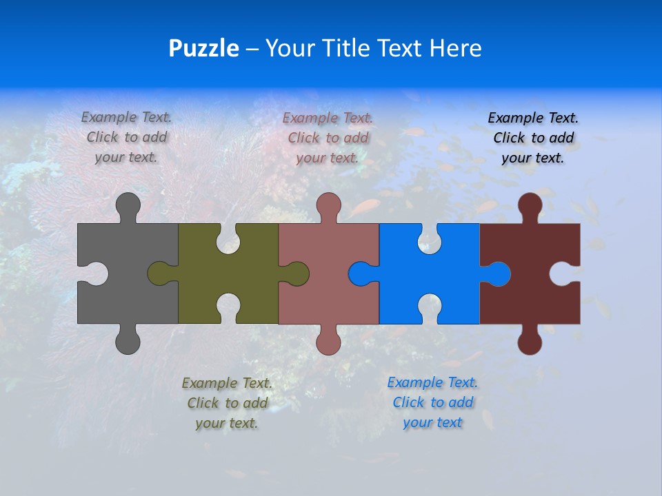 Barrier Clownfish Shallow PowerPoint Template