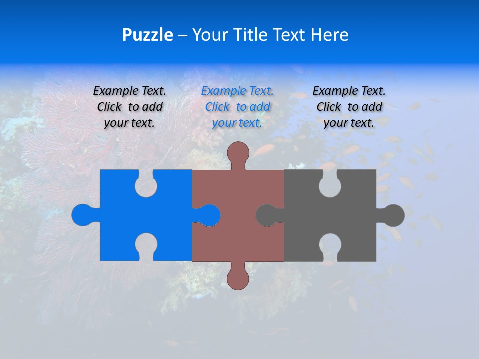 Barrier Clownfish Shallow PowerPoint Template