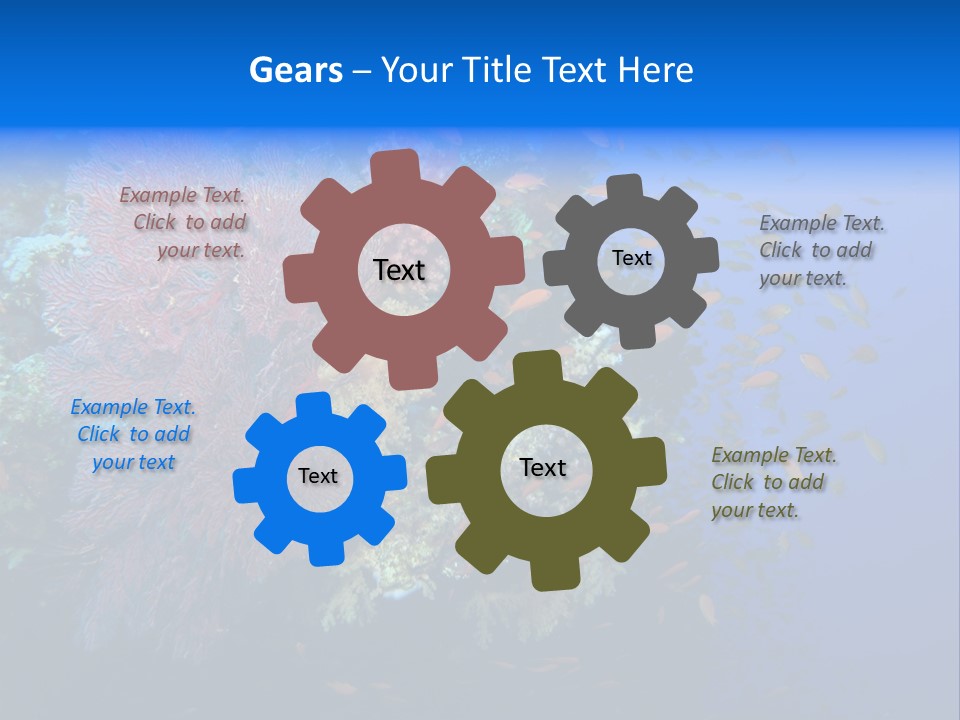 Barrier Clownfish Shallow PowerPoint Template
