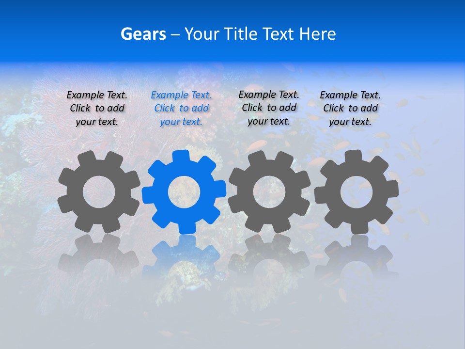 Barrier Clownfish Shallow PowerPoint Template