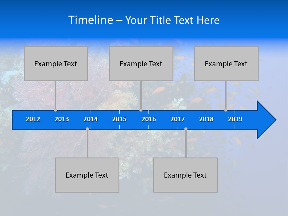Barrier Clownfish Shallow PowerPoint Template