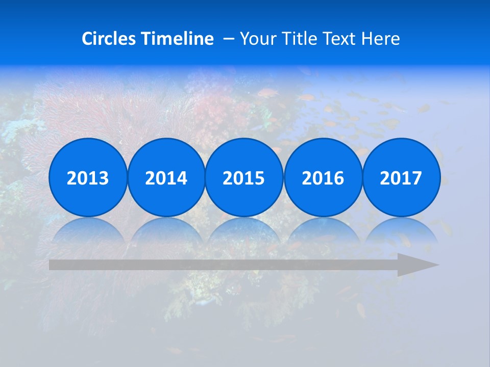 Barrier Clownfish Shallow PowerPoint Template