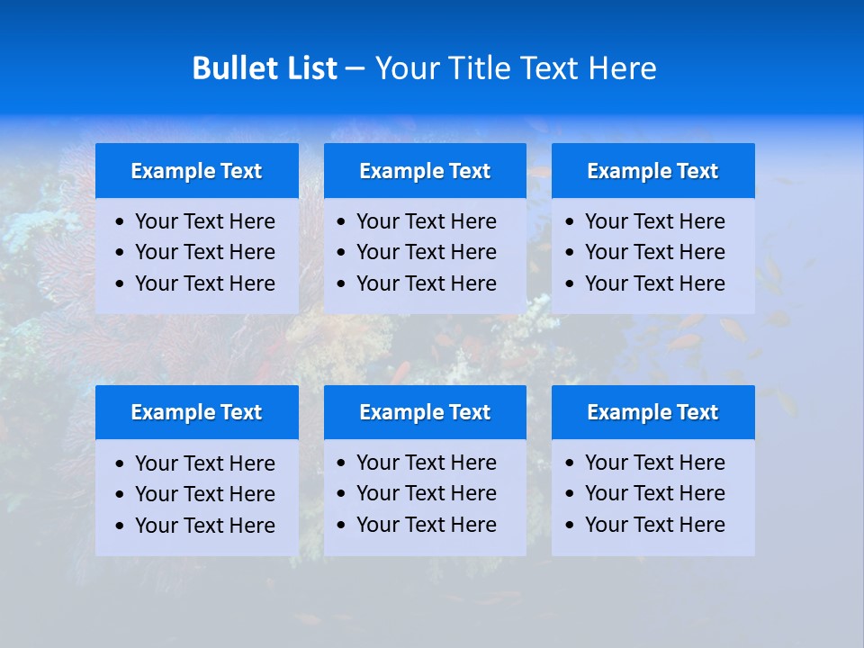 Barrier Clownfish Shallow PowerPoint Template