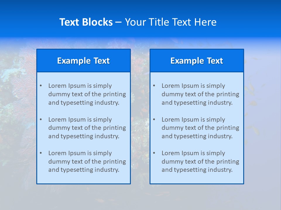 Barrier Clownfish Shallow PowerPoint Template