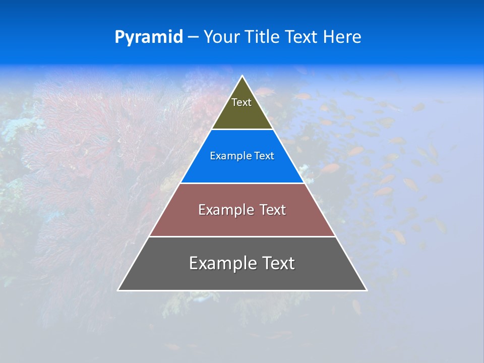 Barrier Clownfish Shallow PowerPoint Template