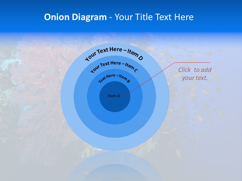 Barrier Clownfish Shallow PowerPoint Template