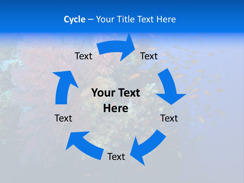 Barrier Clownfish Shallow PowerPoint Template