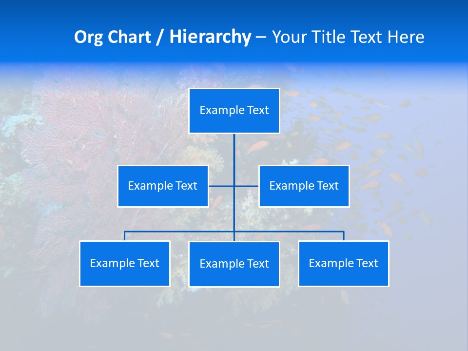 Barrier Clownfish Shallow PowerPoint Template