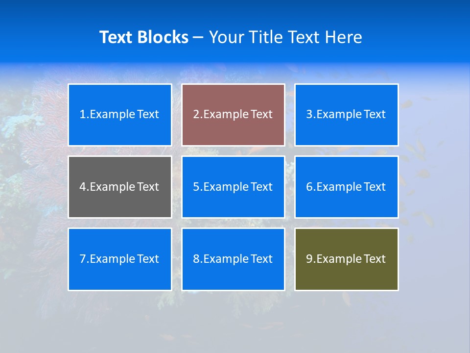 Barrier Clownfish Shallow PowerPoint Template