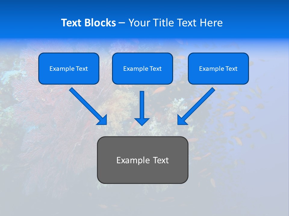 Barrier Clownfish Shallow PowerPoint Template