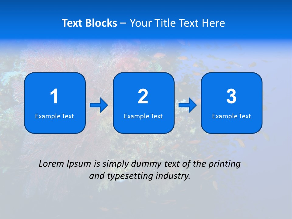 Barrier Clownfish Shallow PowerPoint Template
