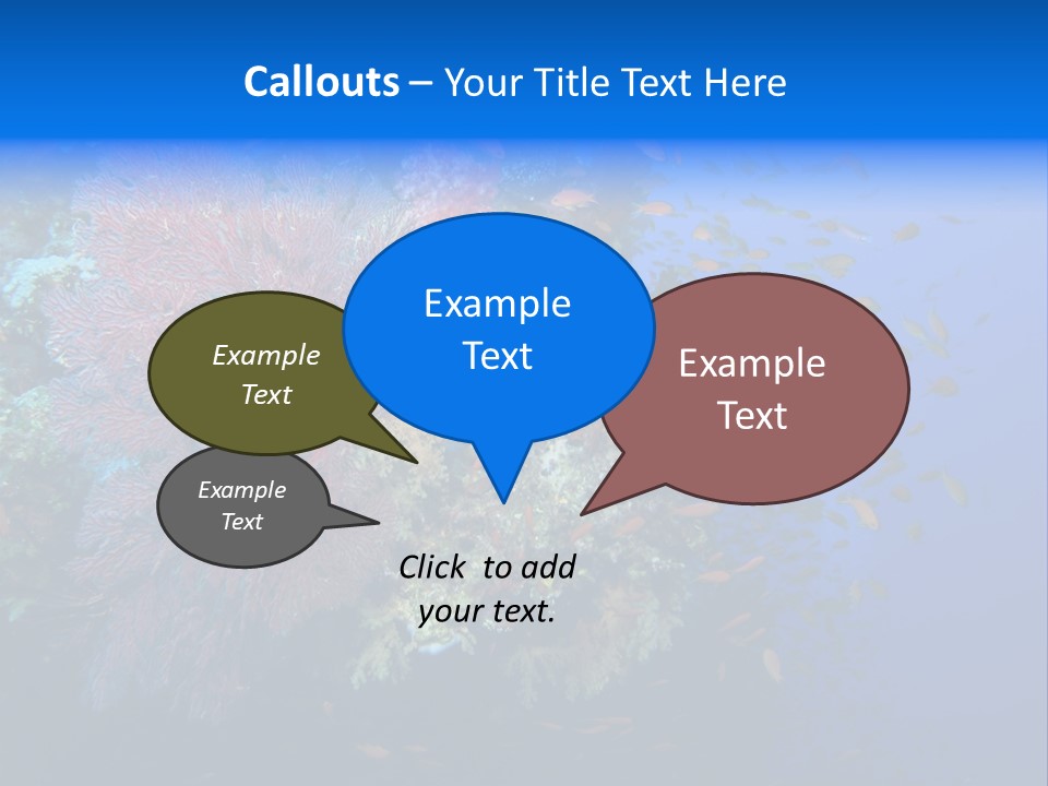 Barrier Clownfish Shallow PowerPoint Template