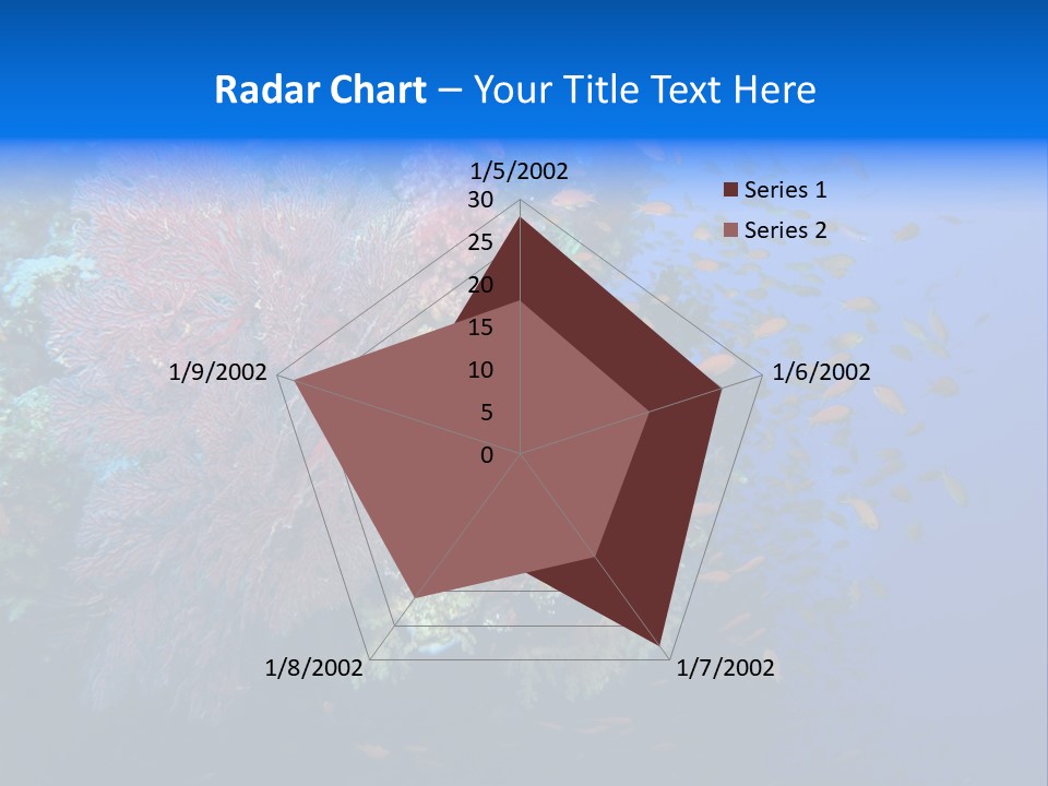 Barrier Clownfish Shallow PowerPoint Template