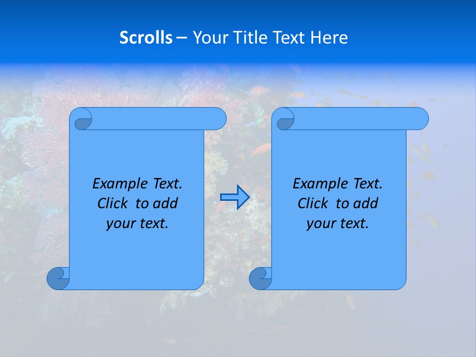 Barrier Clownfish Shallow PowerPoint Template