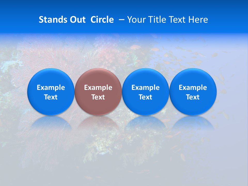 Barrier Clownfish Shallow PowerPoint Template