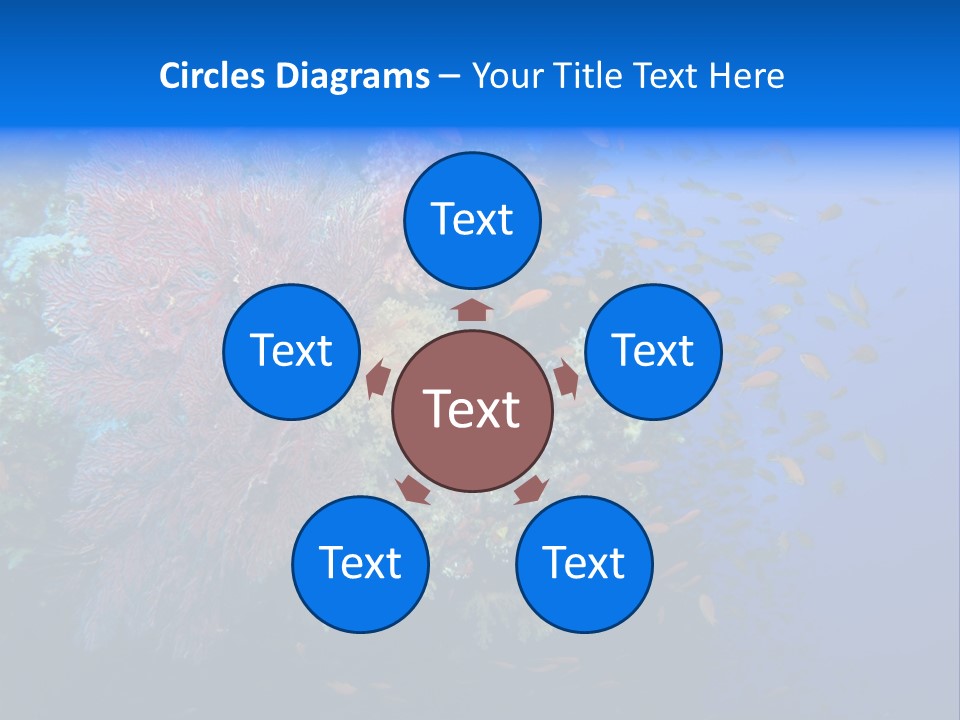 Barrier Clownfish Shallow PowerPoint Template